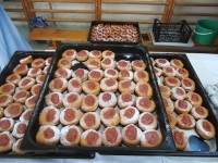 /album/fotogaleria-fasiangy-turice-2023/8-jpg17/