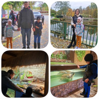 /album/fotogaleria-oktobrove-aktivity-deti-zo-specialnych-tried/7-jpg78/