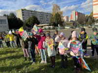 /album/fotogaleria-jesen-v-skd/4528b6ea-dc73-479a-8c5c-ddf-jpg/