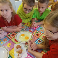 /album/fotogaleria-kruzok-kucharik-1-stretnutie/1-jpg133/