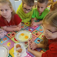 /album/fotogaleria-kruzok-kucharik-1-stretnutie/31-jpg/